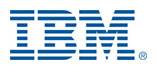 IBM Logo